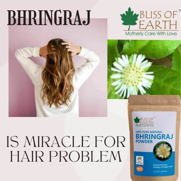 Bliss of Earth 100gm Bhringraj Powder Orgnaic, Herbal, Edible Great for Hair  Mask, Hair Grow & Skin Care - JioMart