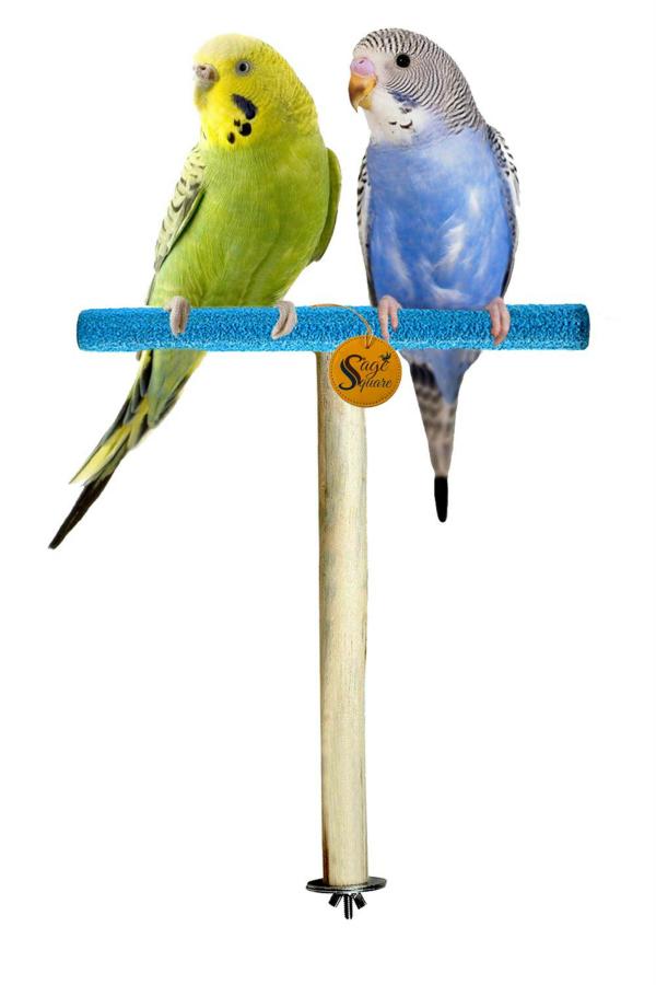 Sage Square Sand Perch For Birds And Trainning Natural Wood And Safe For Birds (Large Birds