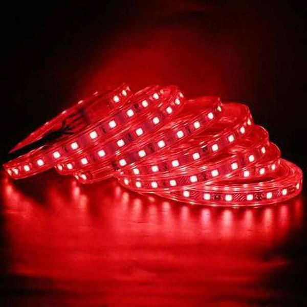 Astern Red Rice Lights 880 LED/393m JioMart