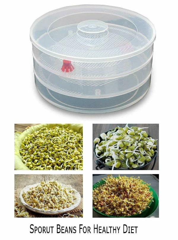 Gajdant Plastic Sprout Maker With Container JioMart
