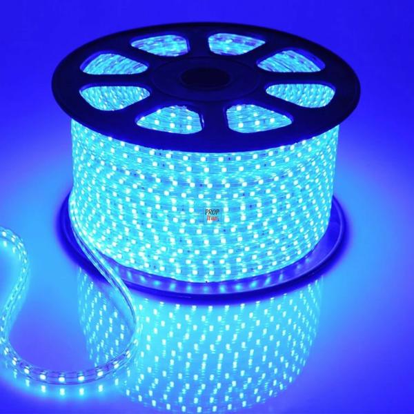 Astern Blue Rice Lights 800 LED/9.91m JioMart