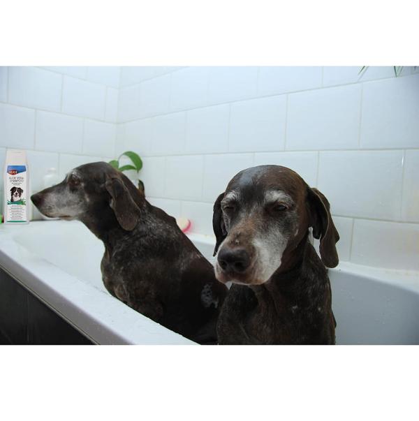 Trixie Aloe Vera Dog Shampoo That Retains Moisture In The Skin For Long