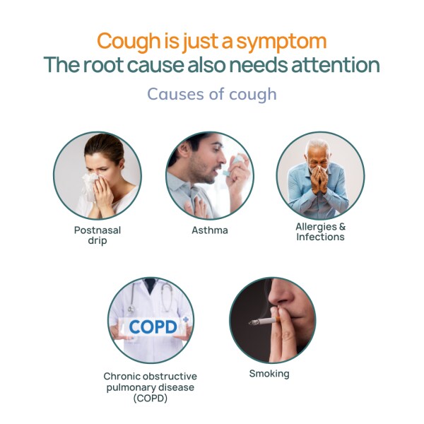 Bibo Cough Relief Pack For All Coughs Synergistic Effect 3
