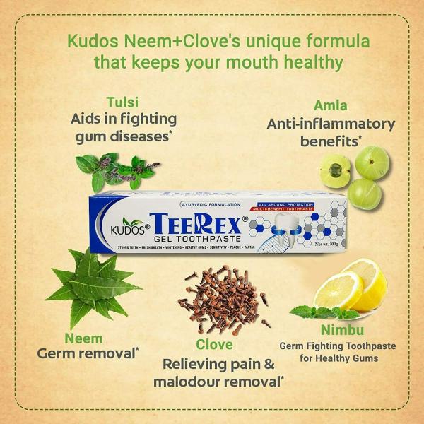 KUDOS AYURVEDA TEEREX GEL TOOTHPASTE 100GM (PACK OF 3) JioMart
