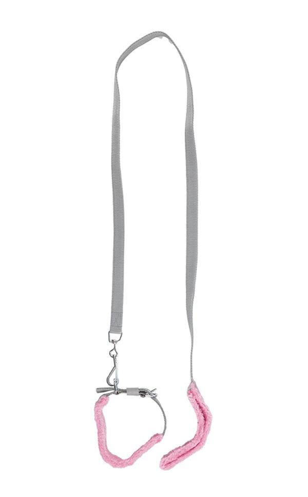 FURRY TAILS Dog Neck Collar Belts and Leash Set, Adjustable Free Neck