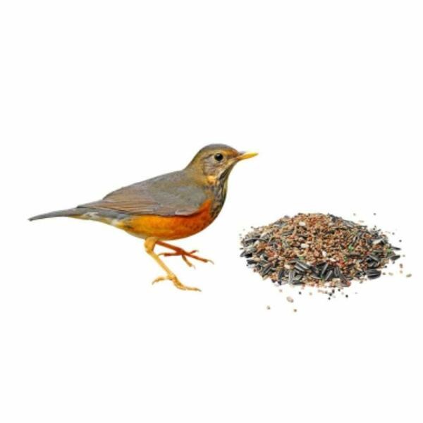 VetSafe Bird Feed (Foxtail Millet, Barnyard Millet, Pearl Millet, White