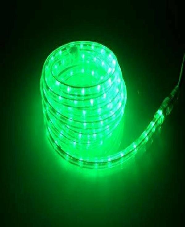 Astern Green Rice Lights 500 LED/5inch JioMart