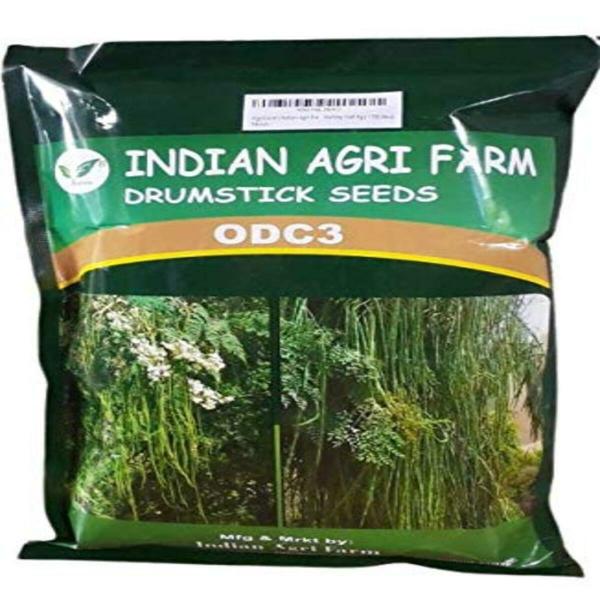 Moringa/Drumstick Seeds for Plantation JioMart