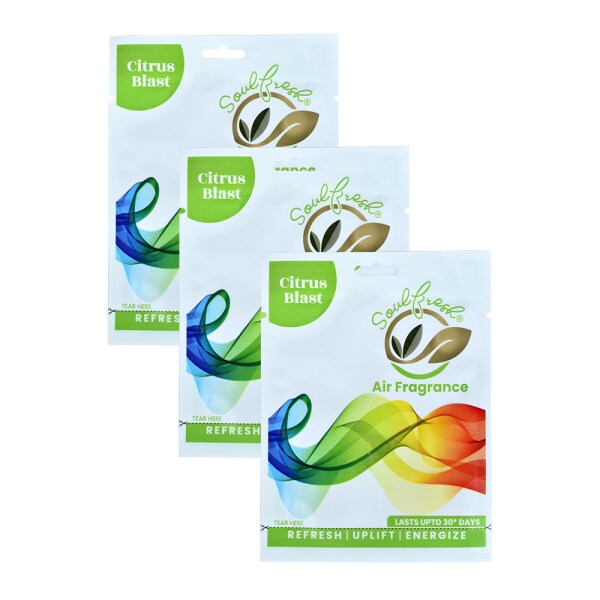 SOULFRESH Citrus Blast Air Pocket, Air Freshener Lasts Up to 30 days