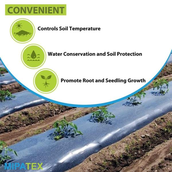 MIPATEX 30 Micron Poly Plastic Mulch Weed Blocker Sheet 1 x 100 m JioMart