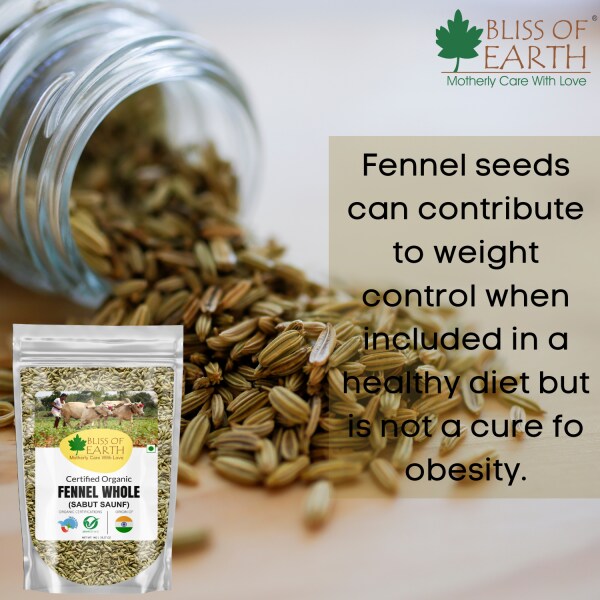 Bliss of Earth Certified Organic Fennel seed ( Saunf) Indian Spice