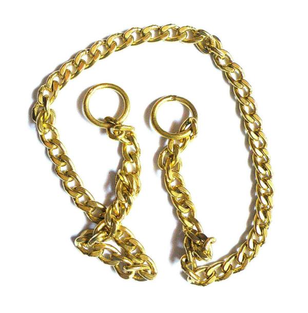 PSK Pet Mart Dogs Choke Chain (Gold) JioMart