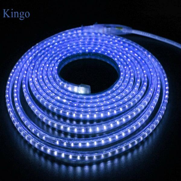 Astern Blue Rice Lights 350 LED/4.98inch JioMart