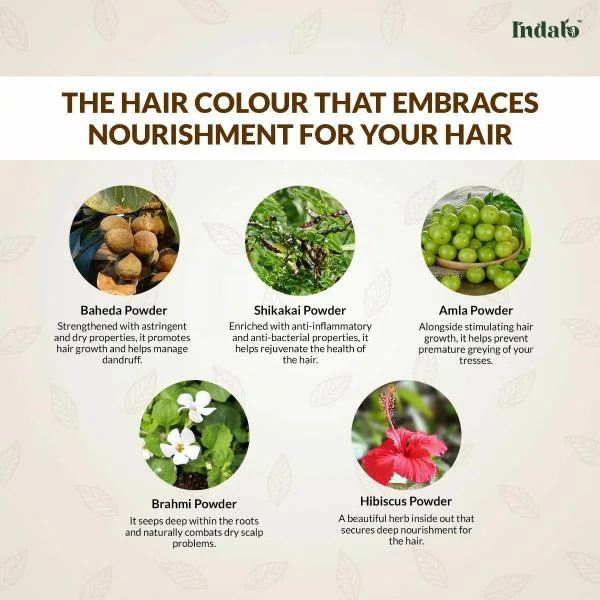 Indalo Natural Dark Brown Hair Colour with Amla and Brahmi, Reducing Hair  Loss & Help to Promote Hair Growth | No Ammonia, No PPD, No Peroxide for  Men & Women - 100gm - JioMart