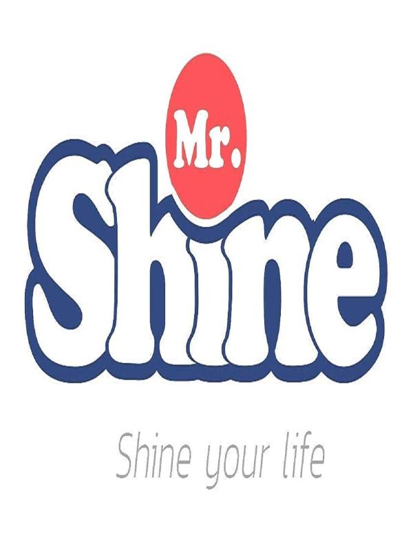 MR.SHINE Colour Guard Fabric Colour Fixer For Cloth 100G Pack of 2