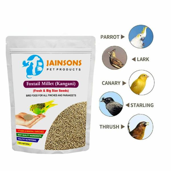 Jainsons Pet Products Small Bird Food Foxtail Millet (Kangani) Species