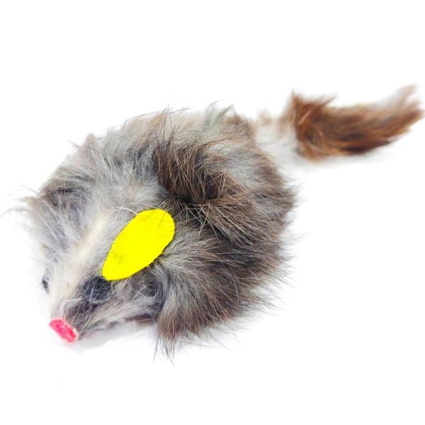 PSK Pet Mart Cat Neck Belt JioMart