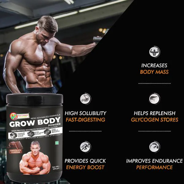 Best Choice Nutrition Muscle Mass Gainer Powder 500 g JioMart