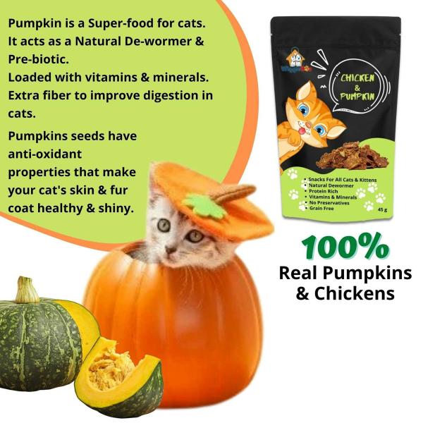 Wiggleboo Chicken And Pumpkin Cat Treat Travel Pack Protein Rich De
