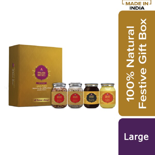 top box for himalayan