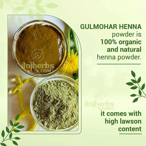 Gulmohar Organic BAQ Mehandi Powder (triple shifted) Sojat Rajasthani
