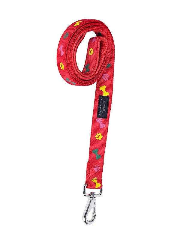 Pets Empire Nylon Dog Training lead Rope Recall line leash For Pet, S