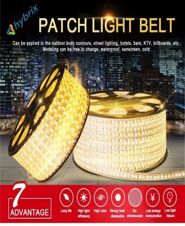 Astern Yellow Rice Lights 800 LED/10.01m JioMart