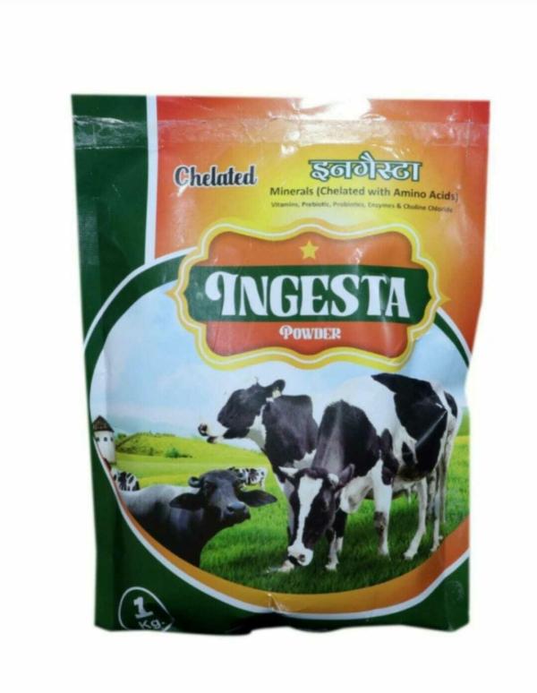 Ingesta Powder 1 kg, Mineral Mixture for Cow,Buffalo, Sheep, Goat Feed