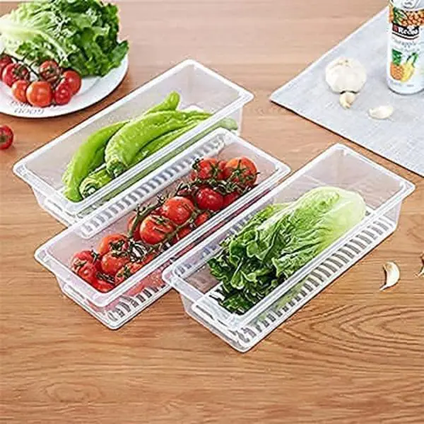 DELSHA Fridge Storage Boxes, Fridge Organizer Case With Removable Drain