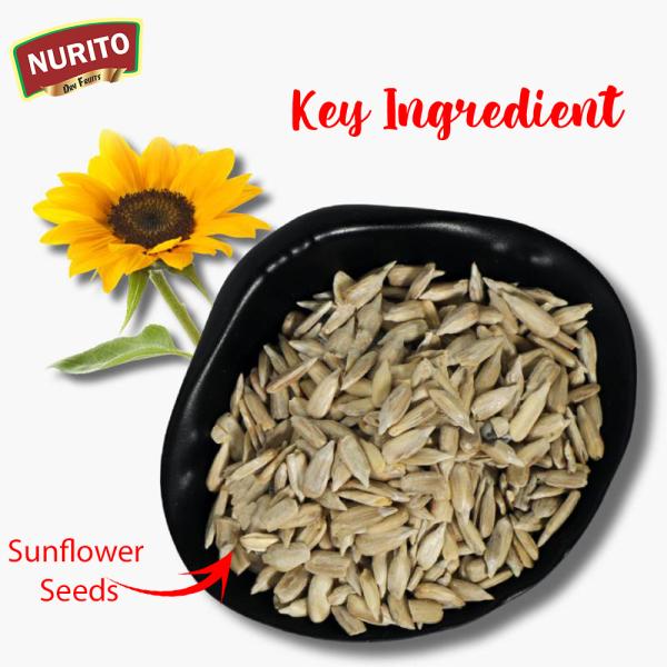 Nurito Sunflower seeds 500g (2x250 g) JioMart
