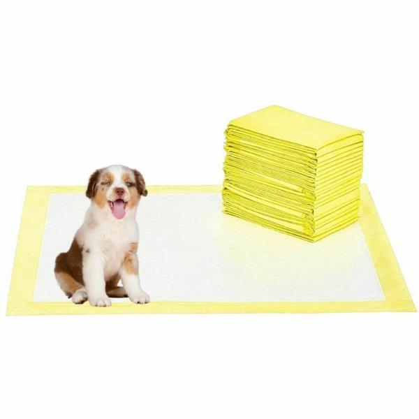 How Do You Attract A Puppy To Pee On A Pad