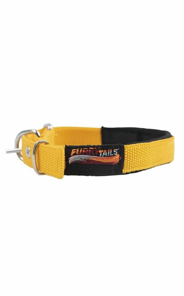 FURRY TAILS Dog Neck Collar Belts and Leash Set, Adjustable Free Neck Size with Strong Hook