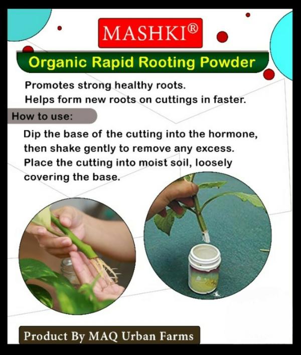 MASHKI Organic Rapid Rooting Root Growth Booster Fast Root Cloning Dry