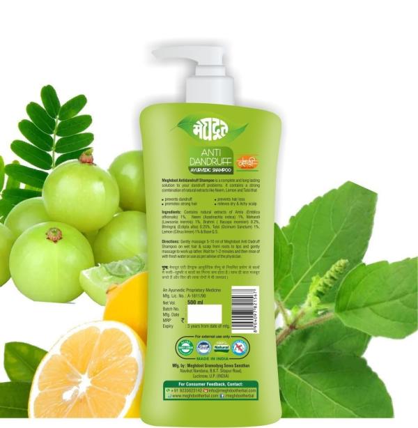 MEGHDOOT AYURVEDIC ANTI DANDRUFF SHAMPOO 500ML (PACK OF 1) JioMart