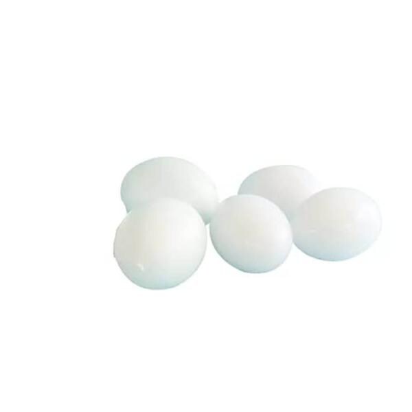 Pets Wizard Fake Plastic Pigeon Eggs For Hatch Incubation Breeding