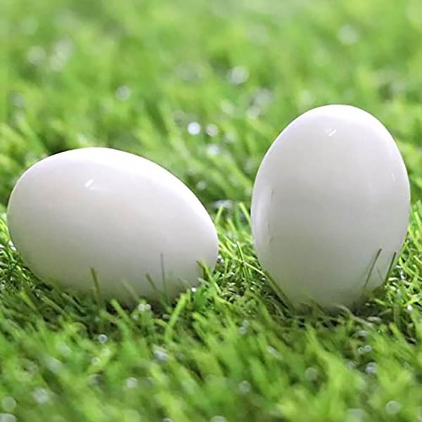 Pets Wizard Fake Plastic Pigeon Eggs For Hatch Incubation Breeding