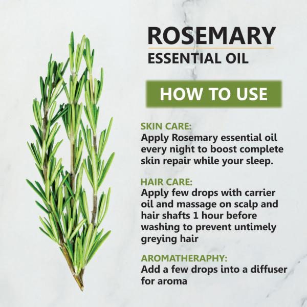 Khadi Ark Rosemary Essential Oil for Hair Growth, Skin Care and Aroma