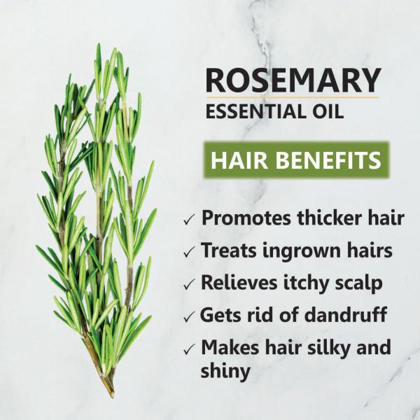 Khadi Ark Rosemary Essential Oil for Hair Growth, Skin Care and Aroma