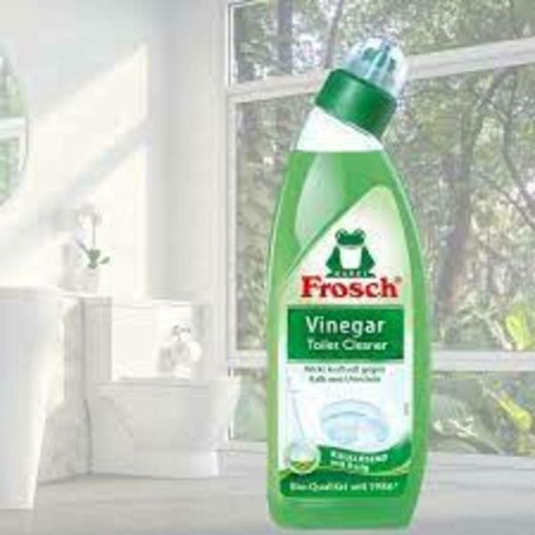 Frosch Vinegar toilet bowl cleaner JioMart