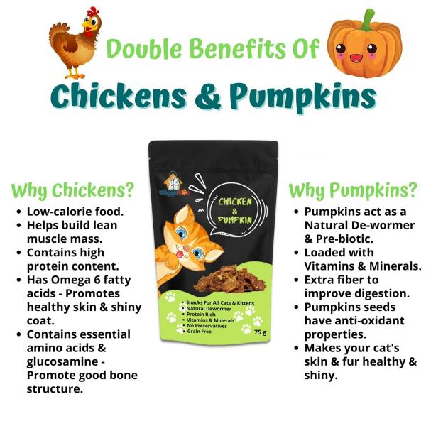 Wiggleboo Chicken And Pumpkin Cat Treat Protein Rich DeWormer For All