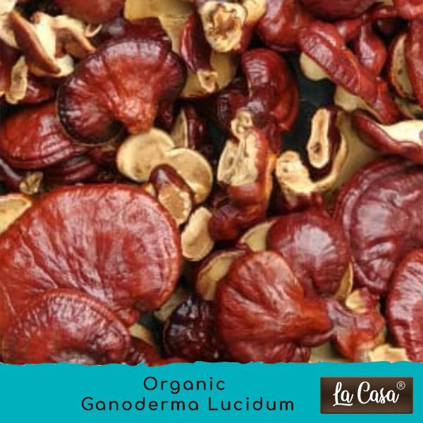 La Casa Red Reishi Mushroom Extract Powder 25g JioMart