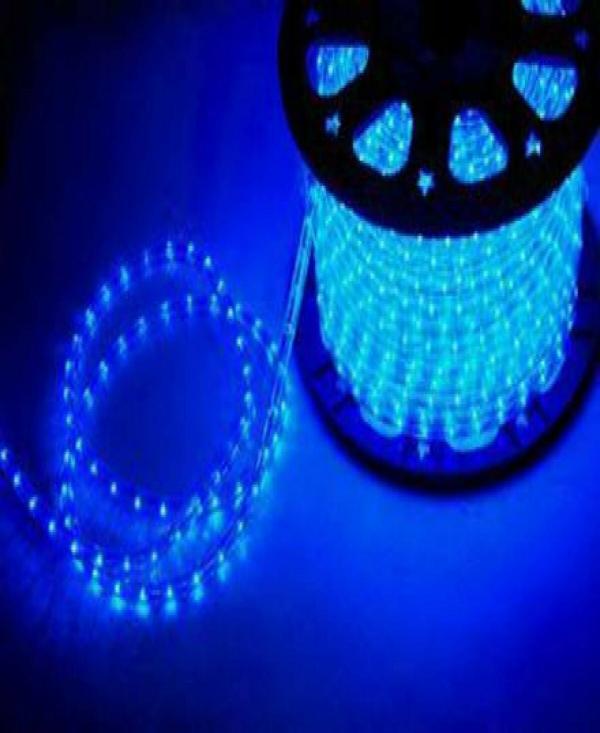 Astern Blue Rice Lights 1200 LED/9.98m JioMart