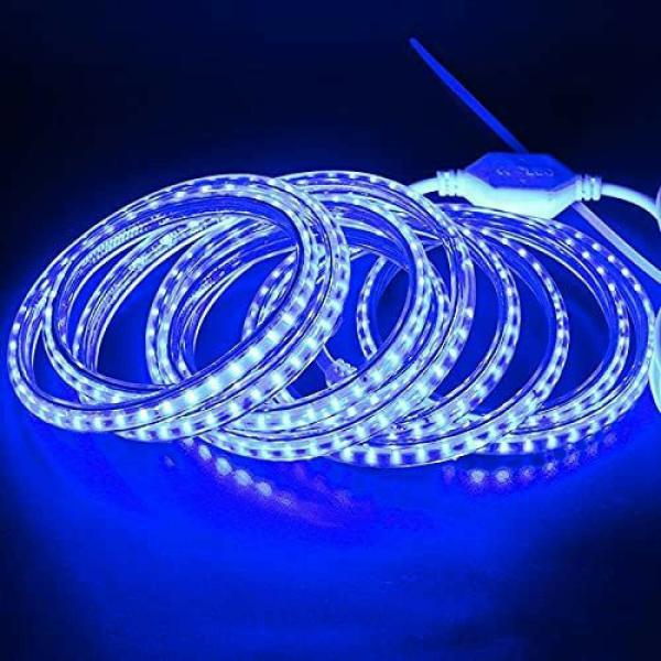 Astern Blue Rice Lights 1200 LED/9.98m JioMart