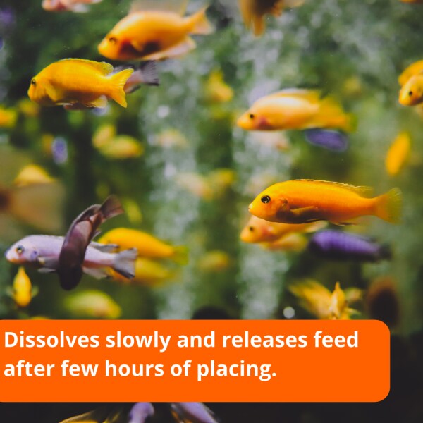 Taiyo Pluss Discovery Holiday Vacation Fish Food for all aquarium