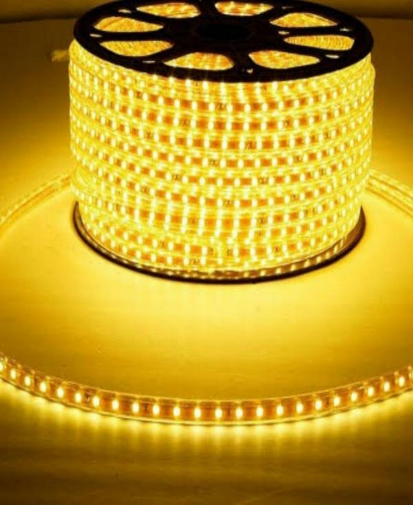 Astern Yellow Rice Lights 600 LED/5m JioMart