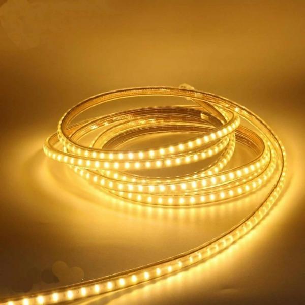 Astern Yellow Rice Lights 600 LED/5m JioMart