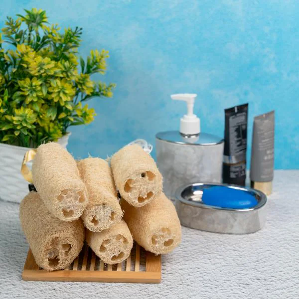 Organic B natural Organic Loofah Body Scrubber Luffa Set of 6 JioMart