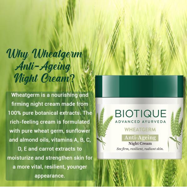 Biotique Wheatgerm AntiAgeing Night Cream 50gm JioMart