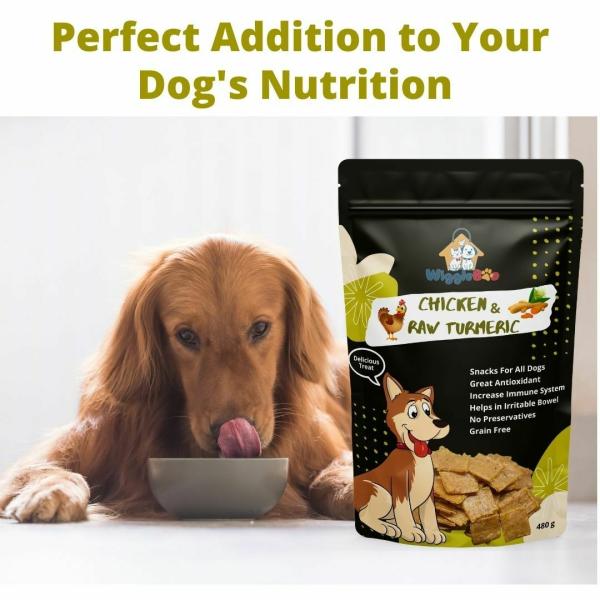 WiggleBoo Chicken & Raw Turmeric Dog Treat Protein Rich Fiber Rich