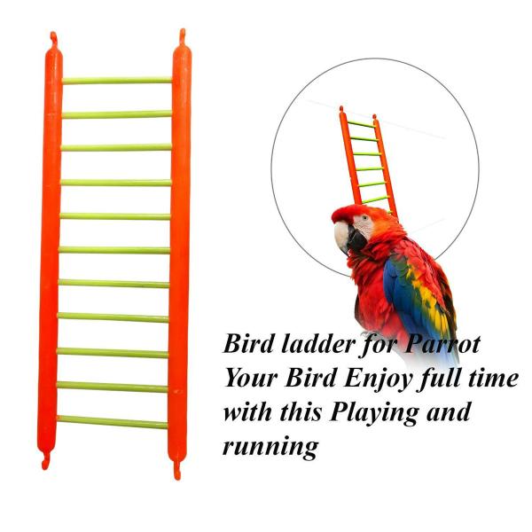Dog Wala Plastic Ladder Bird Toy For Parakeets And Parrots JioMart